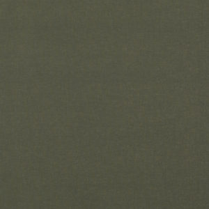 Polaris Blackout Standard Rollers Blind - Forest